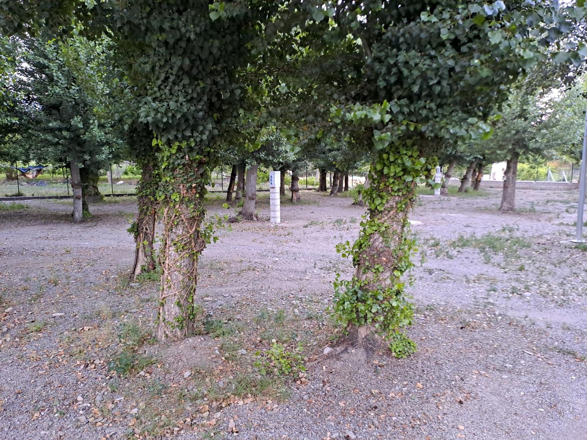 Camping Valle Del Andarax Fondón Екстериор снимка